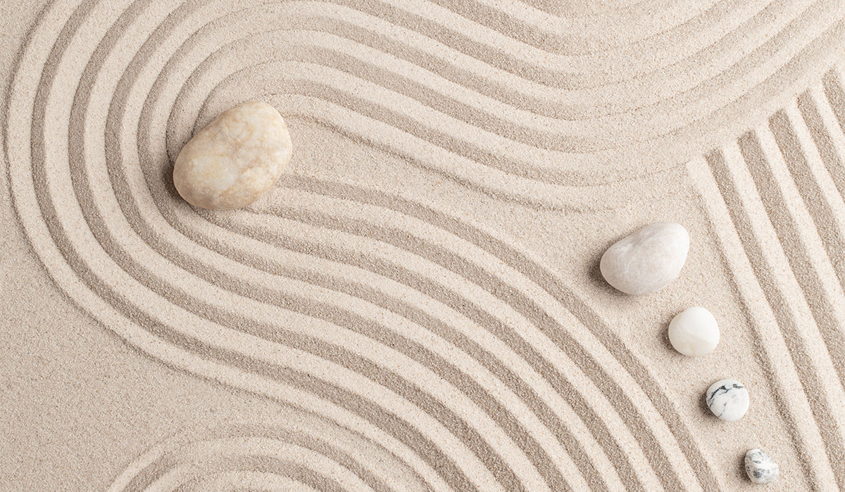 Mehr über den Artikel erfahren How to launch health care website with WordPress